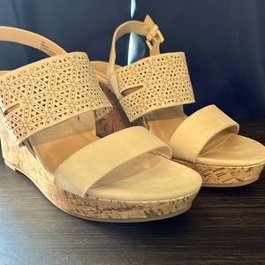 Maurices wedges